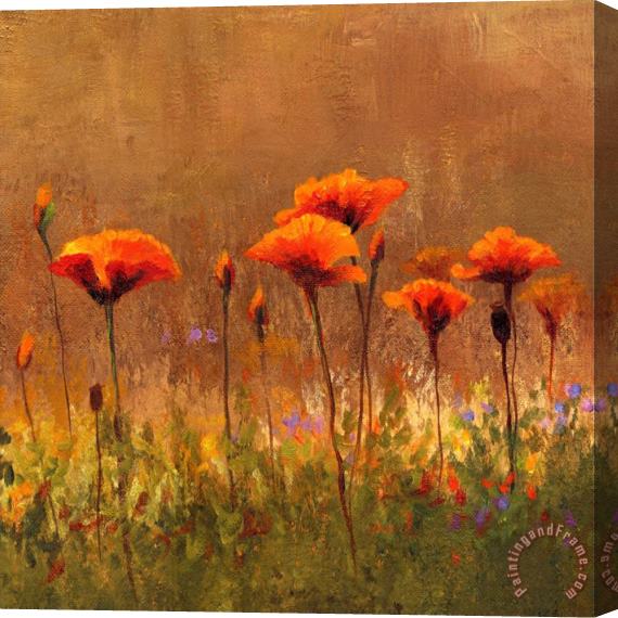 Wendy Kroeker California Poppies 2 Stretched Canvas Print / Canvas Art
