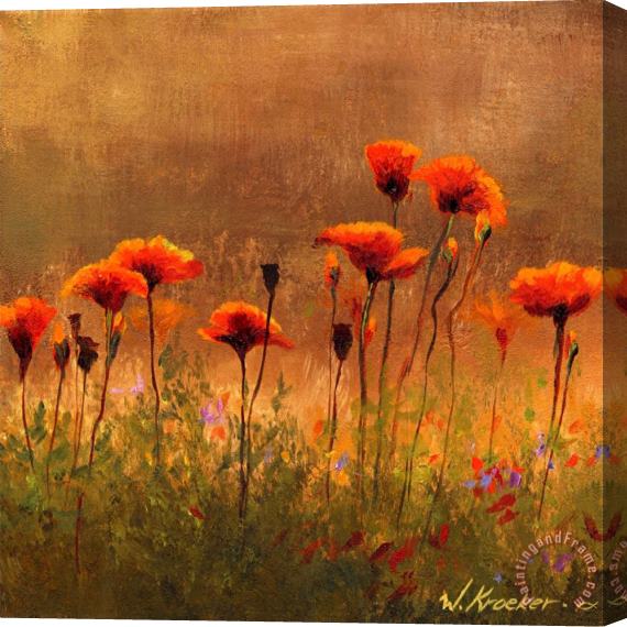 Wendy Kroeker California Poppies 3 Stretched Canvas Print / Canvas Art