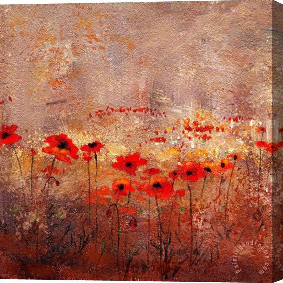 Wendy Kroeker Field Poppies 3 Stretched Canvas Print / Canvas Art