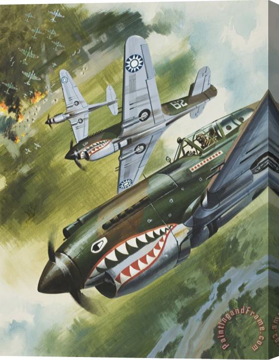 Wilf Hardy Famous Aircraft and their Pilots Stretched Canvas Painting / Canvas Art
