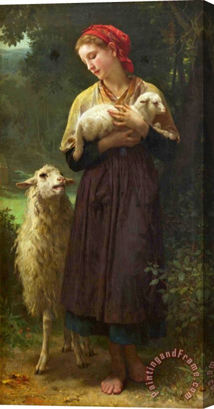 William Adolphe Bouguereau L'agneau Nouveau Ne (the Shepherdess) Stretched Canvas Print / Canvas Art