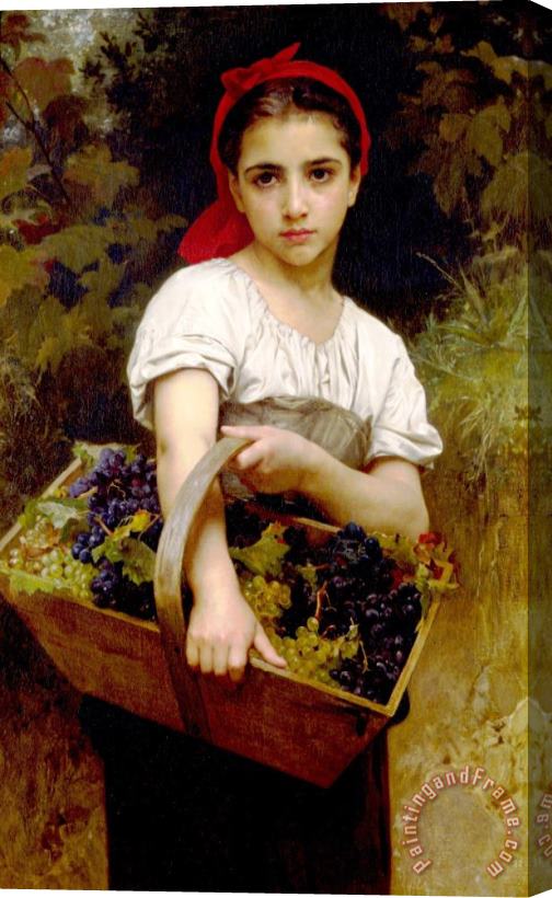 William Adolphe Bouguereau The Grape Picker Stretched Canvas Print / Canvas Art