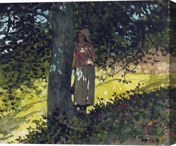 Winslow Homer A Shady Spot Stretched Canvas Print / Canvas Art