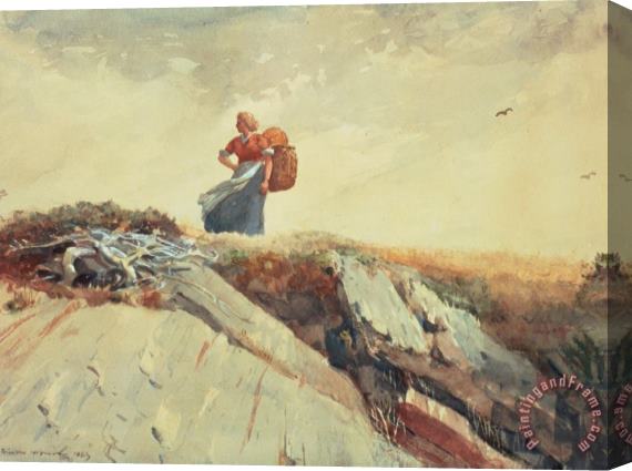 Winslow Homer Down The Cliff Stretched Canvas Painting / Canvas Art