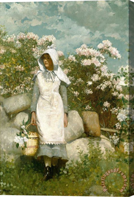 Winslow Homer Girl And Laurel Stretched Canvas Print / Canvas Art