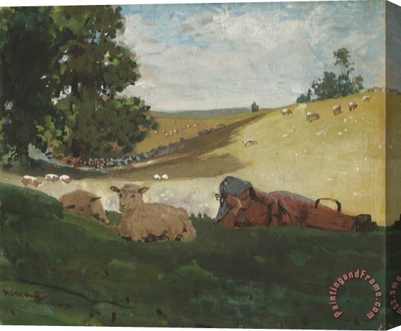 Winslow Homer Warm Afternoon (shepherdess) Stretched Canvas Print / Canvas Art