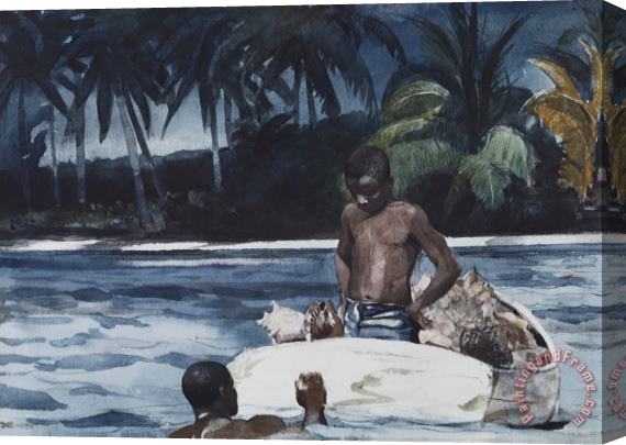 Winslow Homer West Indian Divers Stretched Canvas Print / Canvas Art
