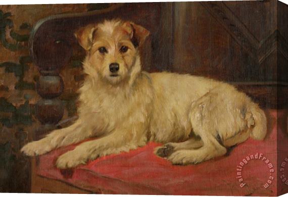 Wright Barker A Terrier on a Settee Stretched Canvas Print / Canvas Art