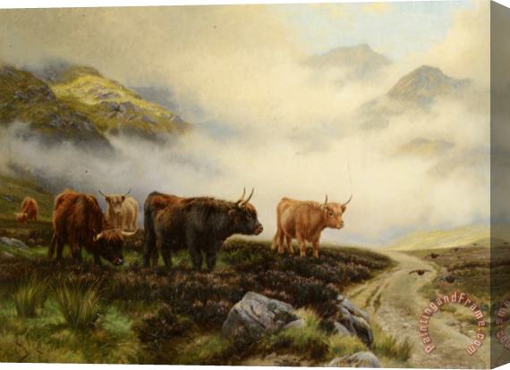 Wright Barker Highland Cattle in a Pass Stretched Canvas Print / Canvas Art