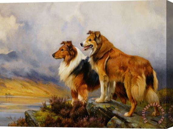 Wright Barker Two Collies Above a Lake Stretched Canvas Painting / Canvas Art