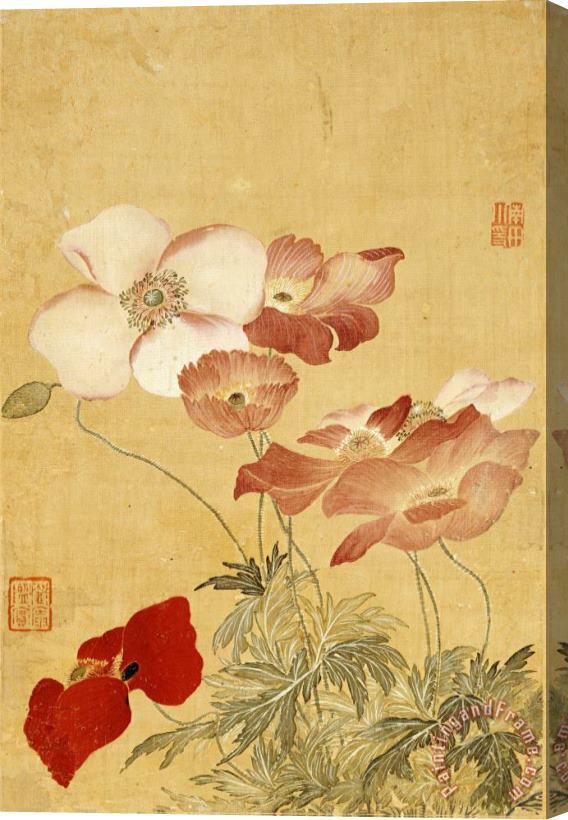 Yun Shouping Poppies Stretched Canvas Print / Canvas Art