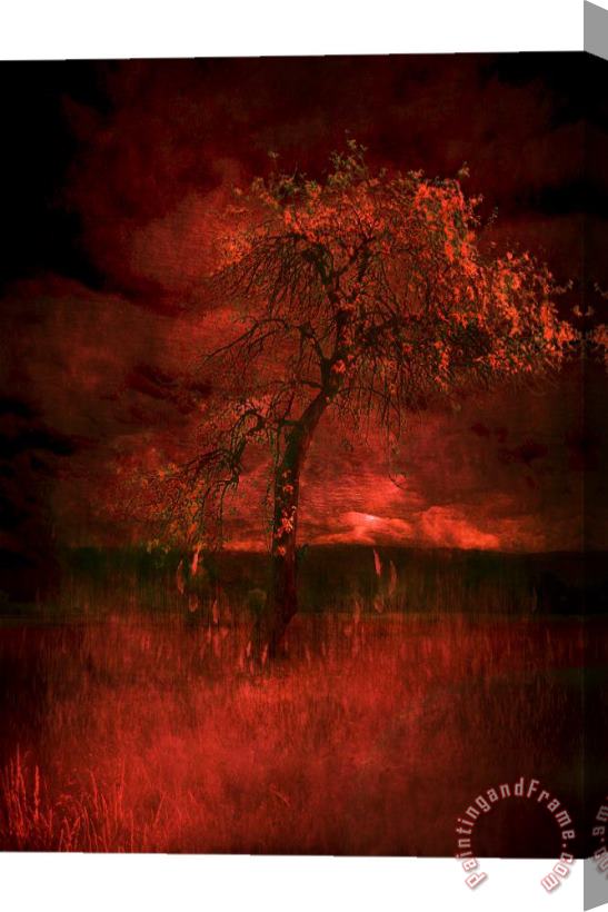 Zygmunt Kozimor Bloody tree Stretched Canvas Print / Canvas Art