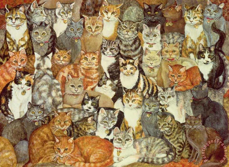 Ditz Cat Spread painting Cat Spread print for sale