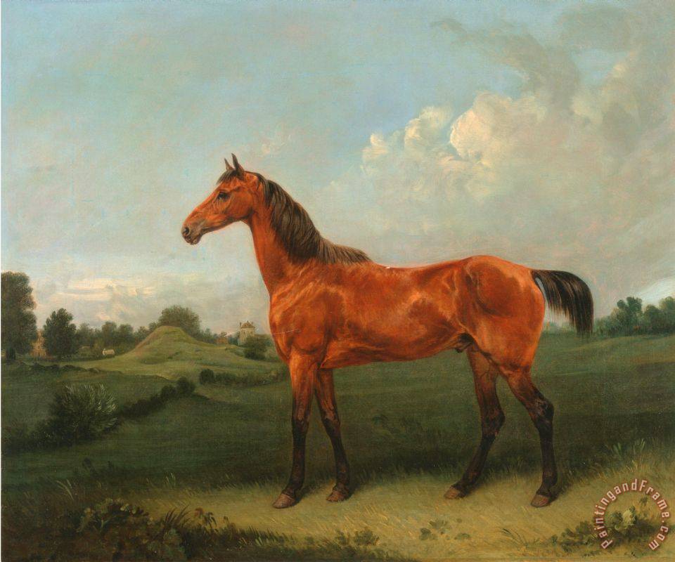 Edmund Bristow A Bay Horse In A Field Painting - A Bay Horse In A Field 