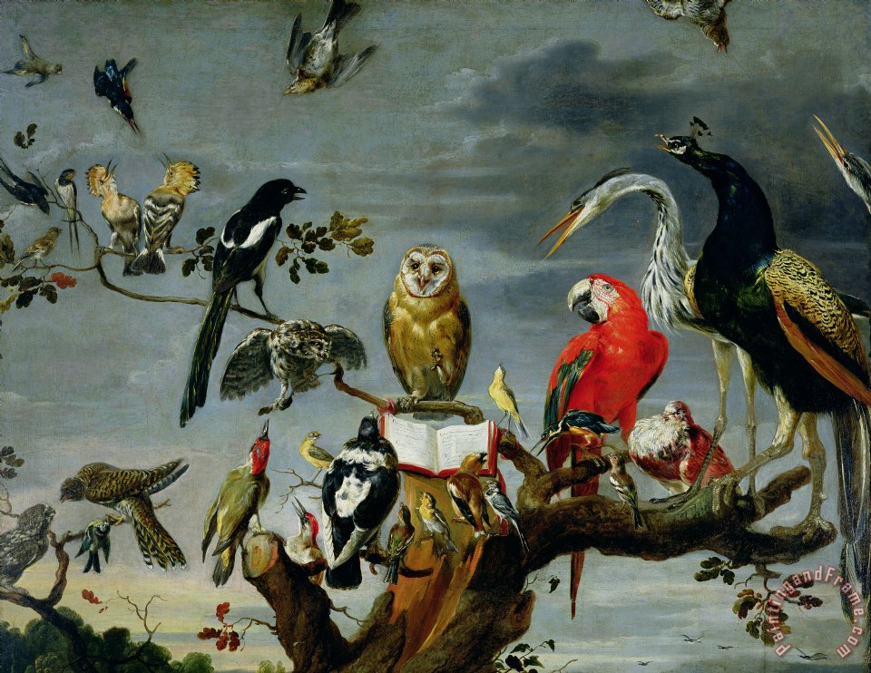 Frans Snijders Concert of Birds painting - Concert of Birds print for sale