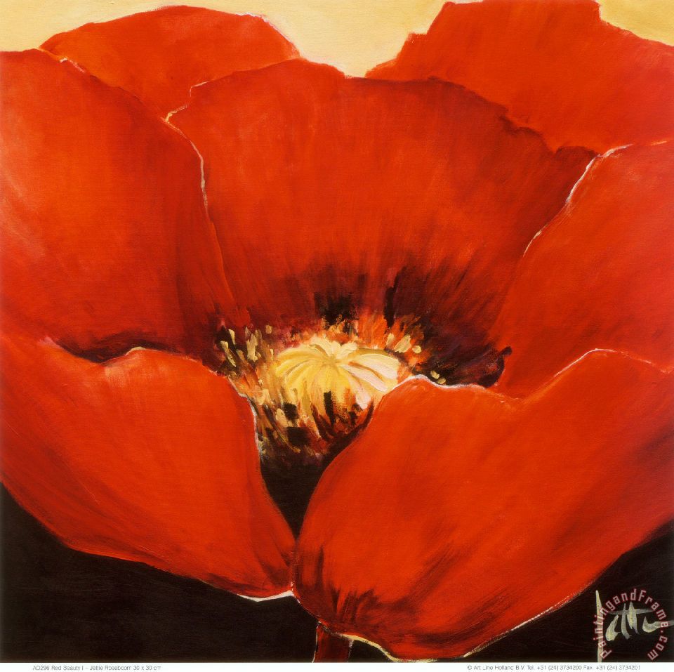 Jettie Roseboom Red Beauty I painting Red Beauty I print for sale