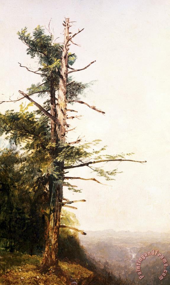 John Frederick Kensett Dying Tree on Mountaintop painting Dying Tree