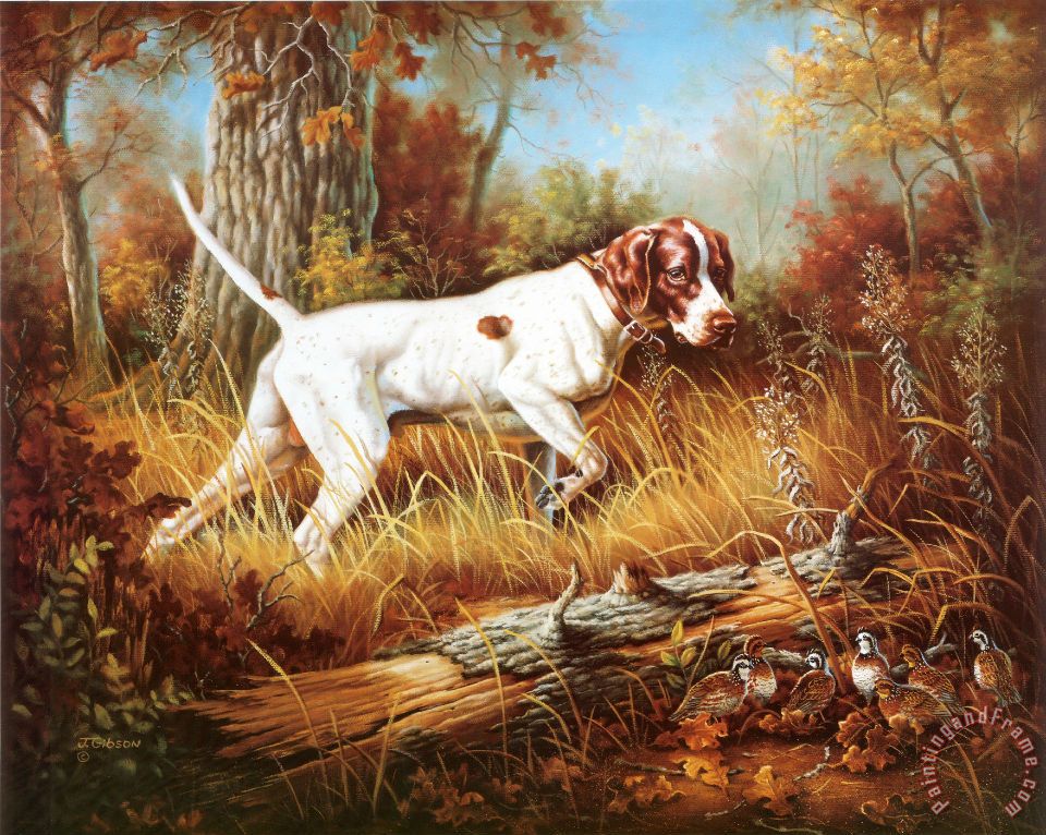  Gibson Pointer with Quail painting - Pointer with Quail print for