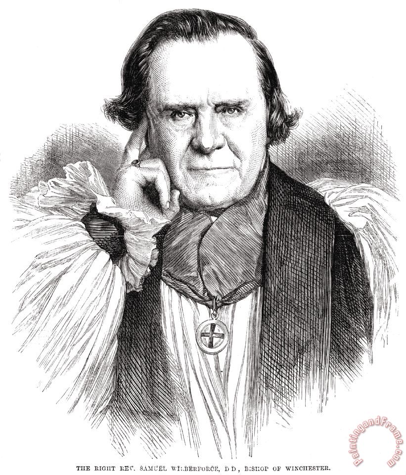 Others Samuel Wilberforce painting Samuel Wilberforce print for sale