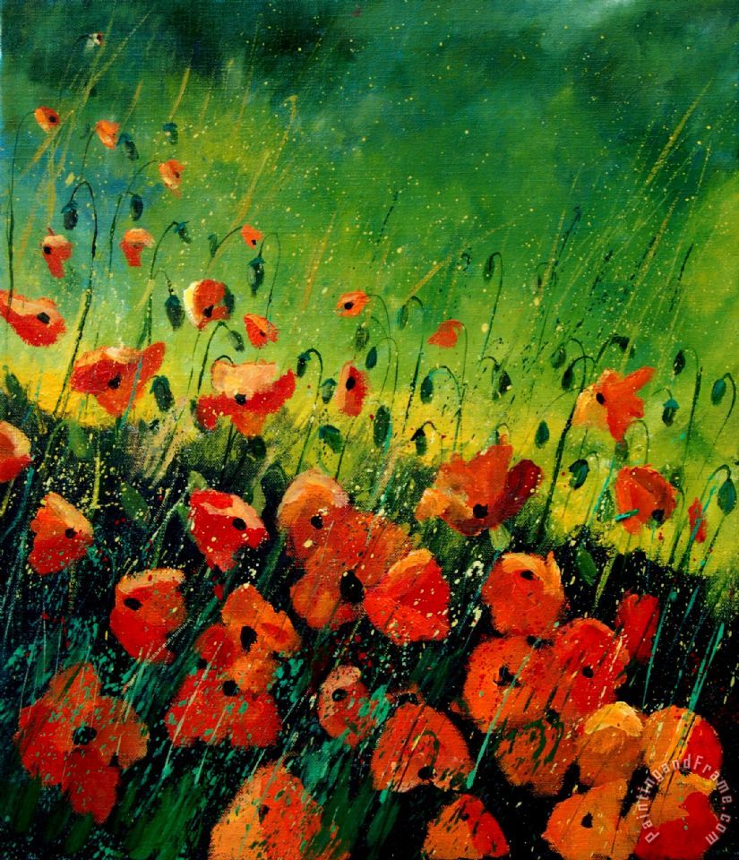 Pol Ledent Orange poppies painting Orange poppies print for sale