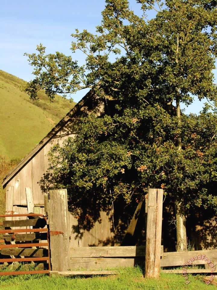 Raymond Gehman Old Barn Off Highway 1 Northern California