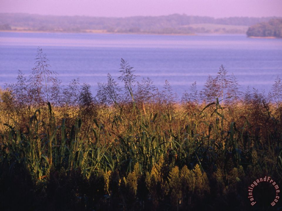 Raymond Gehman The Big Sandy River And Tennessee National Wildlife