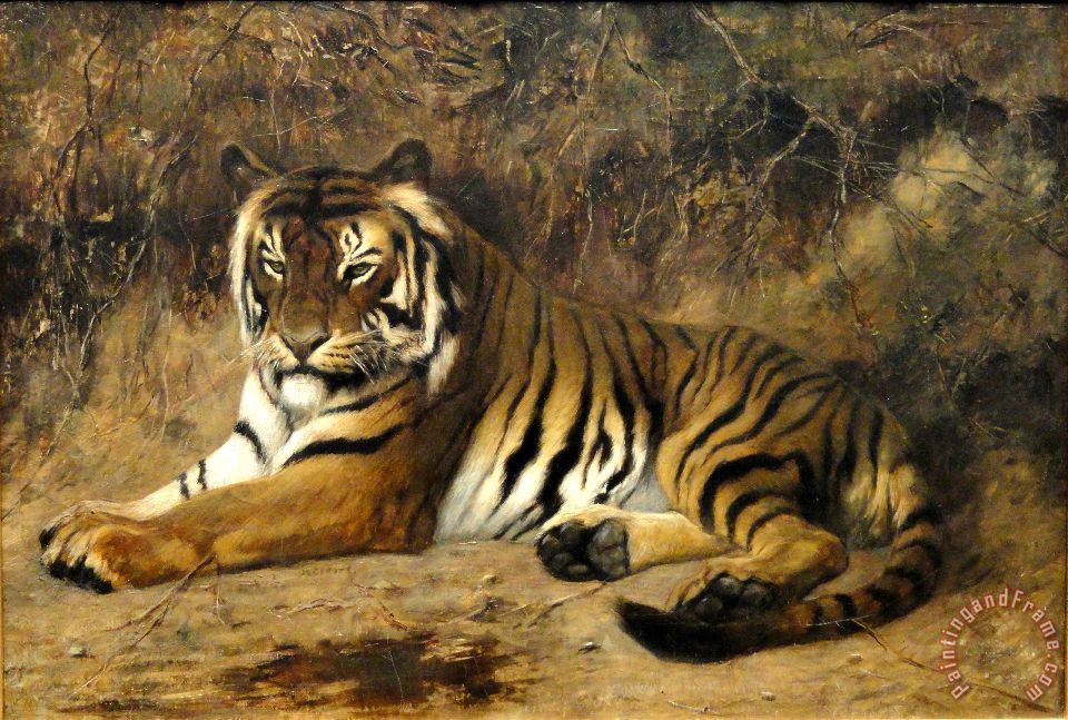 Jean Leon Gerome Tiger Springfield Ma Art Painting for sale ...