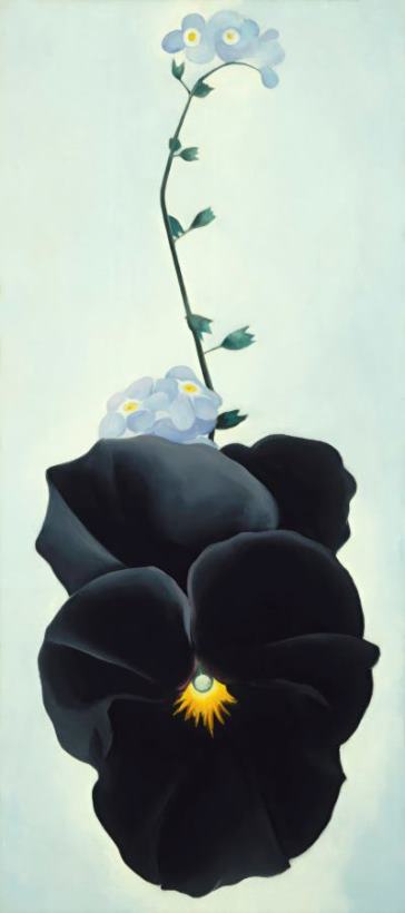 Black Pansy & Forget Me Nots (pansy), 1926 painting - Georgia O'keeffe Black Pansy & Forget Me Nots (pansy), 1926 Art Print