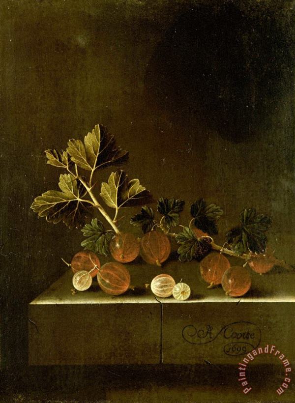Adriaen Coorte A Sprig of Gooseberries on a Stone Plinth Art Painting