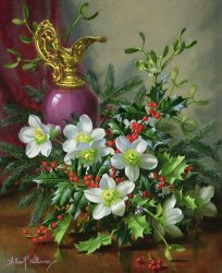 Albert Williams Christmas Roses