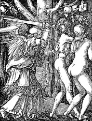 Albrecht Durer Adam And Eve Etching By Albrecht Durer