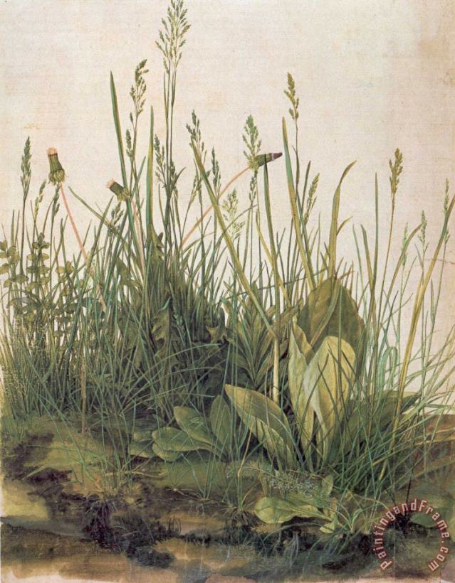 Albrecht Durer Great Piece Of Turf Art Painting