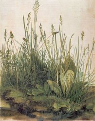 Albrecht Durer Great Piece Of Turf