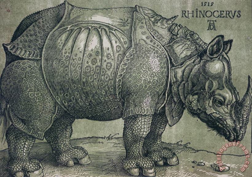 Albrecht Durer The Rhinoceros Art Print