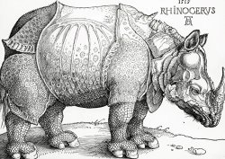 Albrecht Durer The Rhinoceros