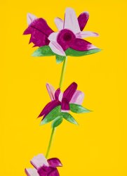 Alex Katz Azaleas on Yellow, From Flowers