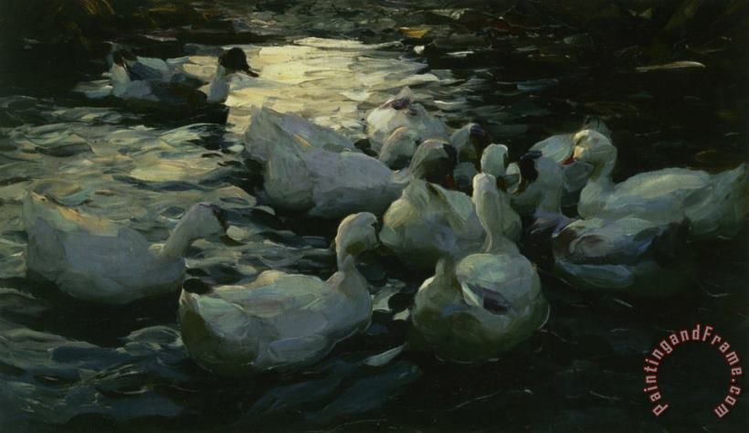 Enten Im Wasser painting - Alexander Koester Enten Im Wasser Art Print