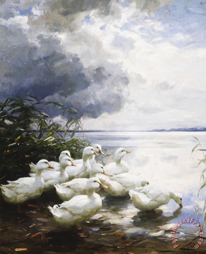 Ducks at The Lake's Edge painting - Alexander Max Koester Ducks at The Lake's Edge Art Print