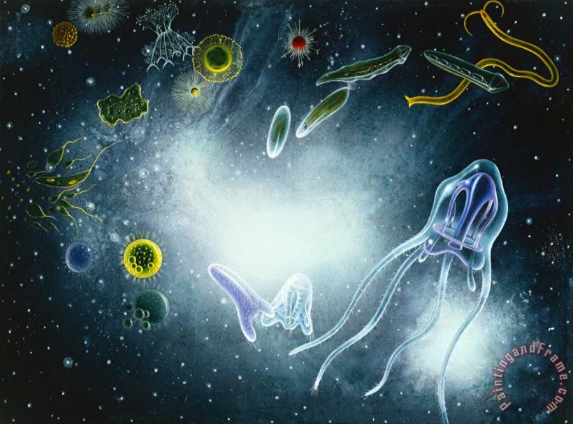 Biosphere: Microorganism And Invertebrates painting - Alexis Rockman Biosphere: Microorganism And Invertebrates Art Print