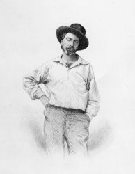 American School Walt Whitman Frontispiece To Leaves Of Grass