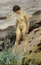 Anders Leonard Zorn Sandhamn Study