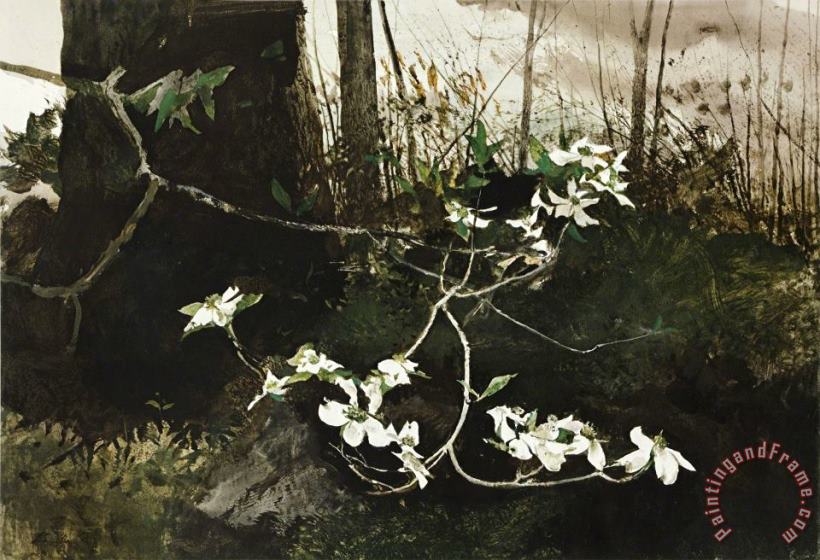 andrew wyeth Dogwood, 1983 Art Painting