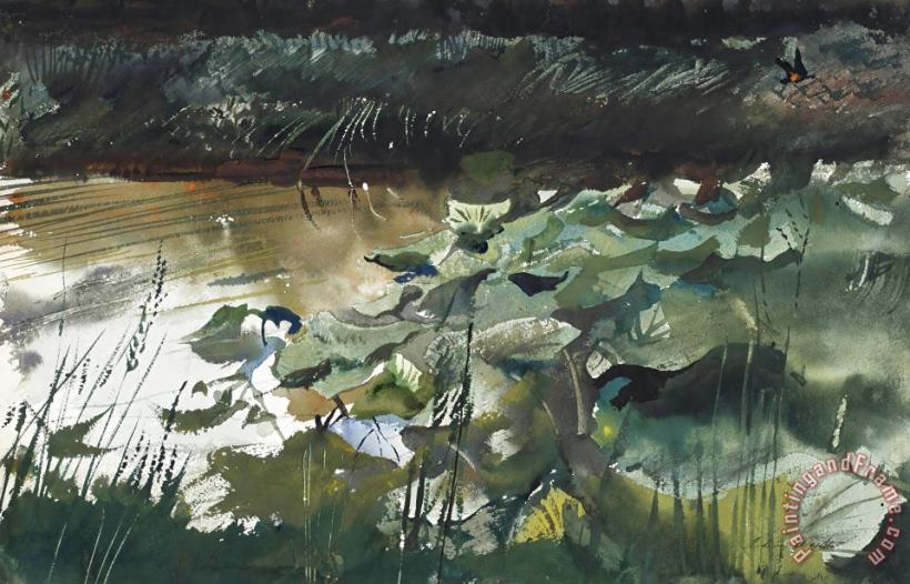 andrew wyeth Lily Pads, 1954 Art Painting