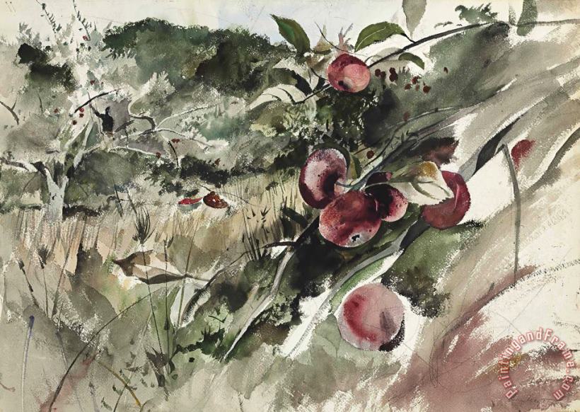 Picking Apples, 1945 painting - andrew wyeth Picking Apples, 1945 Art Print