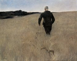 andrew wyeth Turkey Pond