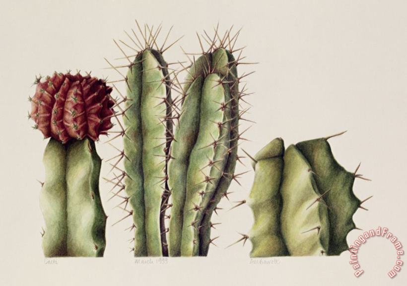 Cacti painting - Annabel Barrett Cacti Art Print