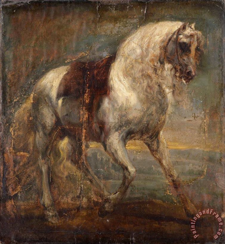 A Grey Horse painting - Anthonie Van Dyck A Grey Horse Art Print