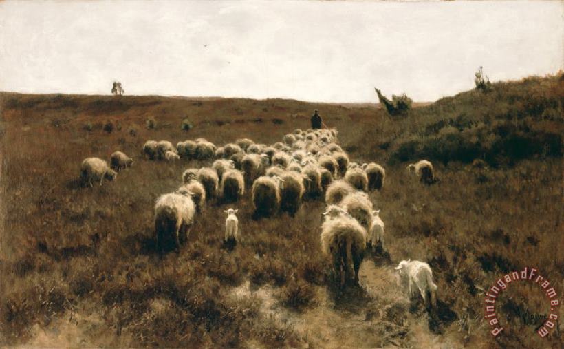 The Return of The Flock, Laren painting - Anton Mauve The Return of The Flock, Laren Art Print