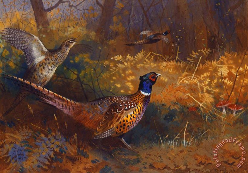 A Cock And Hen Pheasant At The Edge Of A Wood painting - Archibald Thorburn A Cock And Hen Pheasant At The Edge Of A Wood Art Print