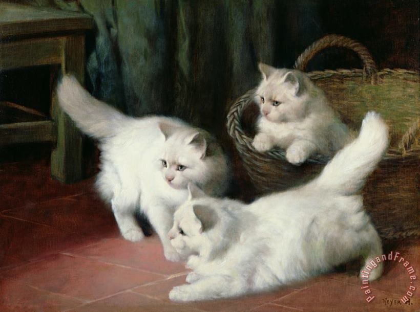 Three White Angora Kittens painting - Arthur Heyer Three White Angora Kittens Art Print